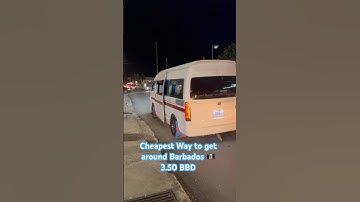 Cheapest Way To Get Round Barbados 🇧🇧 Zr Buses #vacation #shorts