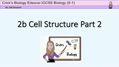 GCSE Biology - Cell structure part 2 #cricksbiology