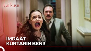 Selim Takıntılısı Ferideyi Kaçırdı Çalıkuşu