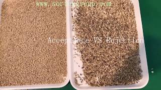 SG Oat Color Sorter Machine/Sorting Machine