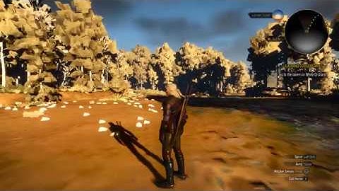 The Witcher 3 Graphics Problem