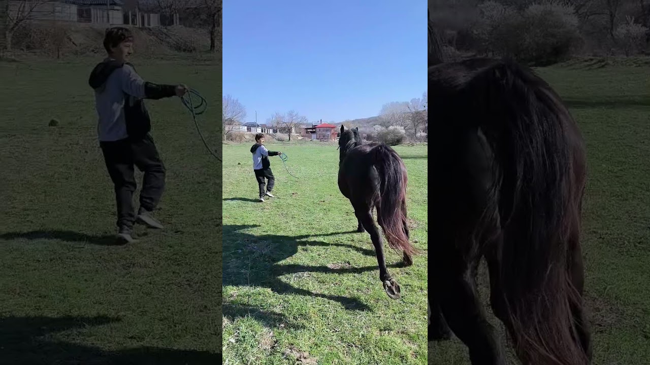 Ренат и Соломон