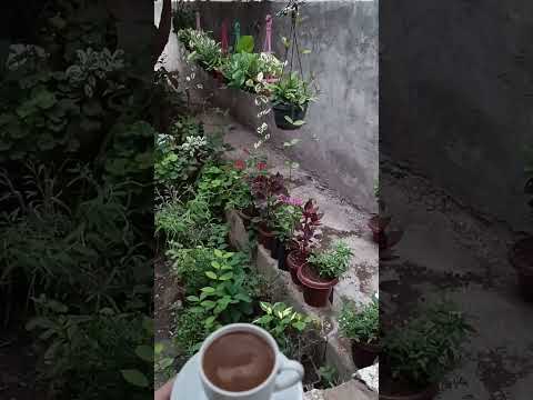 نيالو شو حظو كبير يلي كل يوم بيوعى بكير