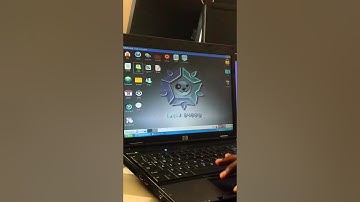 puppy linux on virtual box