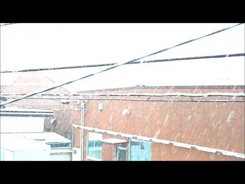 東京54年ぶりに初雪 八王子市も朝から雪【2016/11/24】