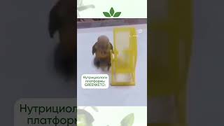 #кето #кетодиета #кеторецепты #кетовыпечка #кетоменю #кетозавтрак #гринкето #greenketo