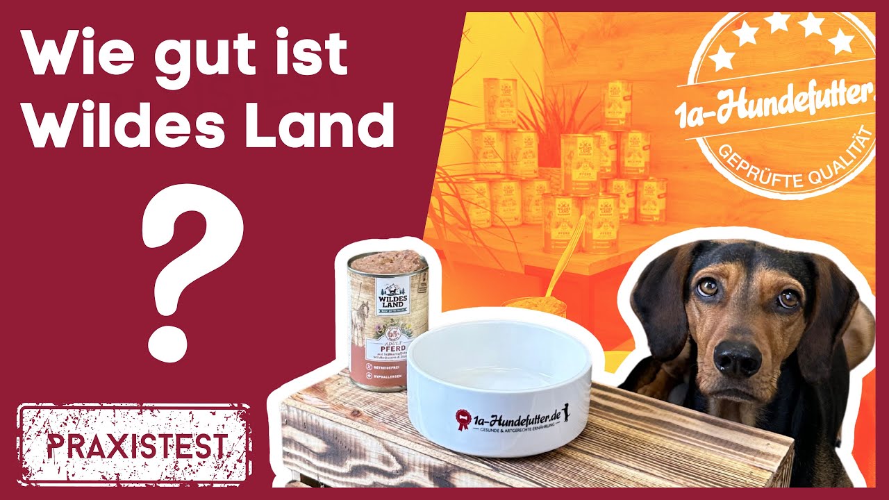 Wildes Land Hundefutter Test | Erfahrungsbericht 2026