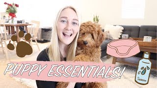 MY PUPPY ESSENTIALS! (from Amazon, Target, and More!) || KYLIE MARIE