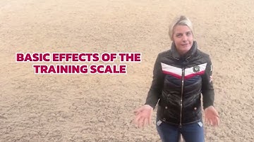 Discover How To Use The Dressage Training Scale & Rhythm In Your Training Routine