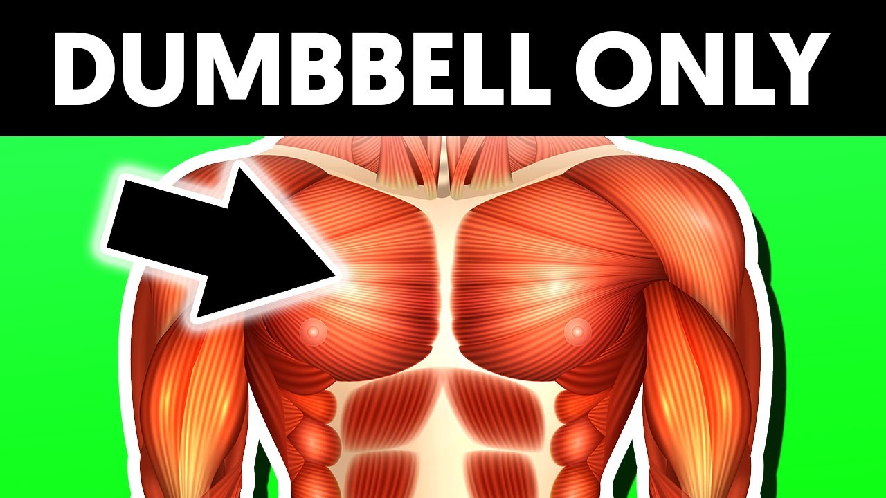 How to GROW Your Chest With Dumbbells Only! - YouTube