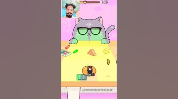 🐱 Hide and Seek: Cat Escape! #10 - Can You Beat This Impossible Level? 😱