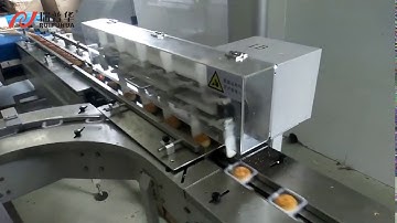Moon Cake full automatic loading feeding and Packaging line working well in customer factory