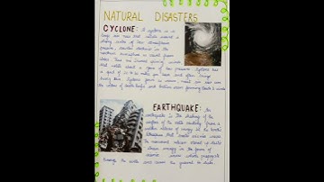 Project file of DISASTER MANAGEMENT 😊 Class 9th #shorts #youtubeshorts #project