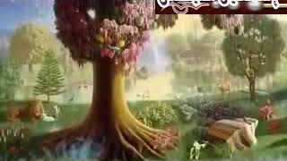 الشيخ الطبلاوى سورة النور تلاوة راااااائعة .