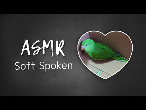 *ASMR* Animais Silvestres | Soft Spoken (UTILIDADE PÚBLICA) PT-BR