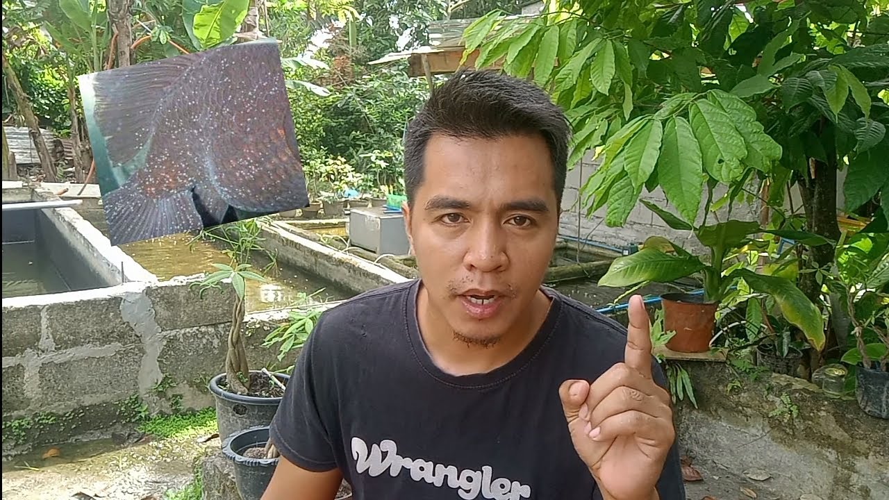 White Spot Treatment Using Ordinary Salt