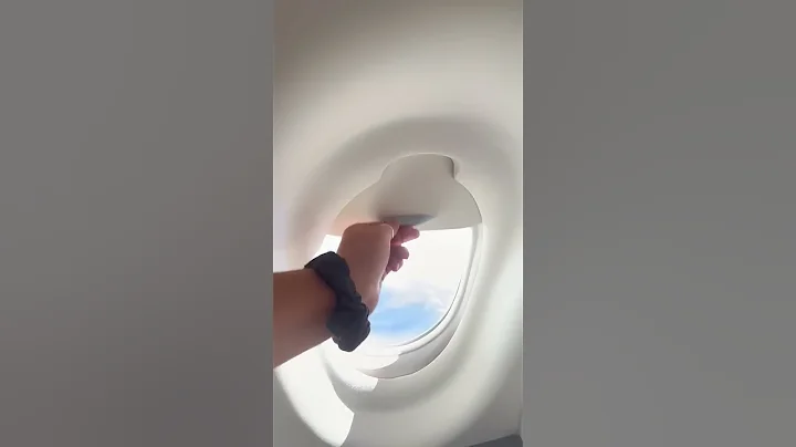 Airplane bathroom has a window? Coolest thing EVER!