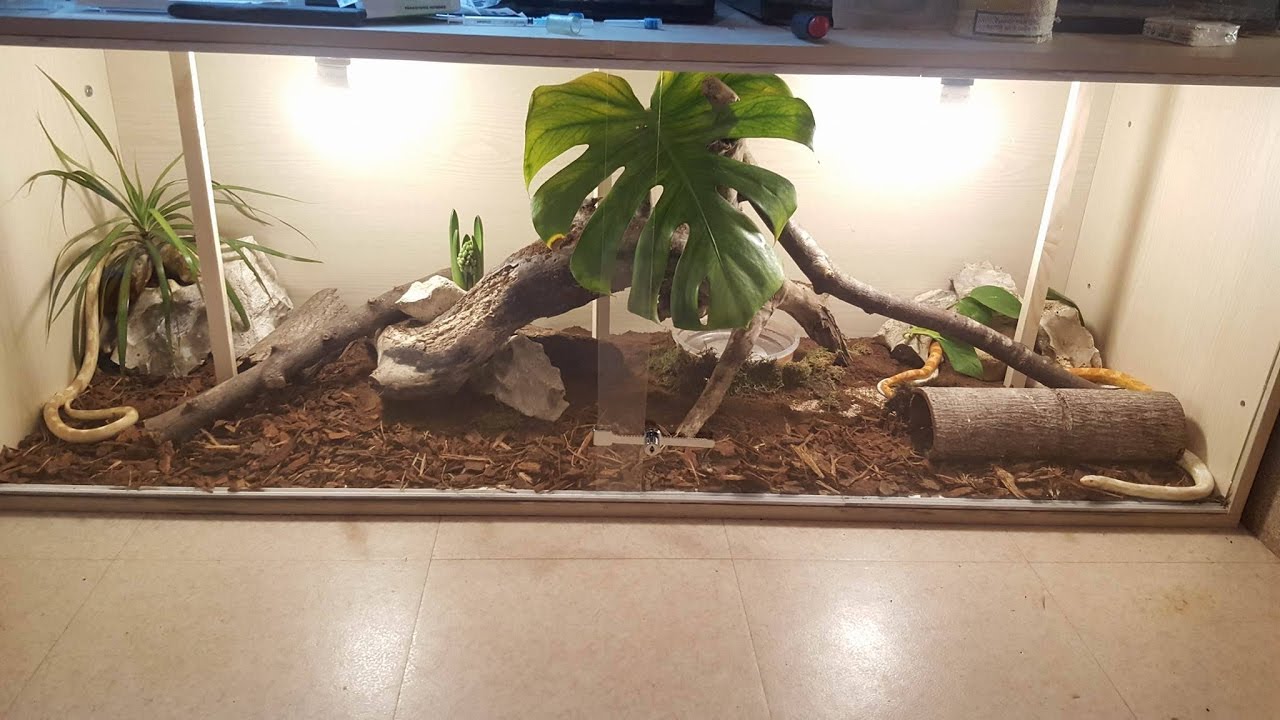 camera iphone 8 plus apk Poser des vitres avec cadenas sur un grand terrarium!
