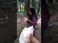 Pekerjaan ibu2 ditengah hutan