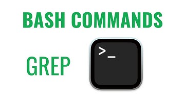 Bash Commands - grep command