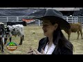 Lone Star Rodeo Company