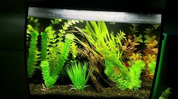 Fluval Flex Lighting Showcase