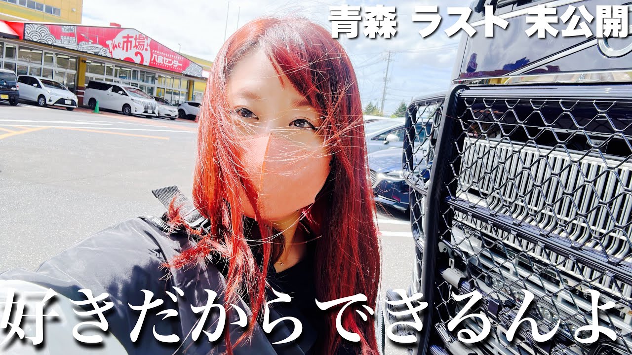 ちょうきょりトラックでかでかごう 長距離トラック】運転してる気分になりませんか？滋賀〜神奈川〜大阪