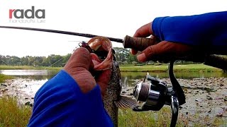 Download lagu JUMP FROG GEOL Rap Rat 3cm Ultralight Casting - Rada