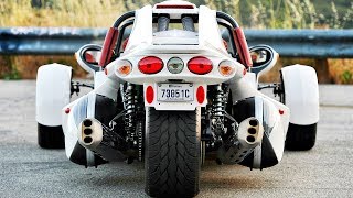 :   Campagna T-Rex -  !