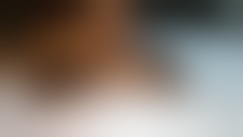 Indian soft shelled Turtle Fishing hook removal