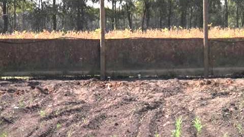 Pen Construction -The Structure