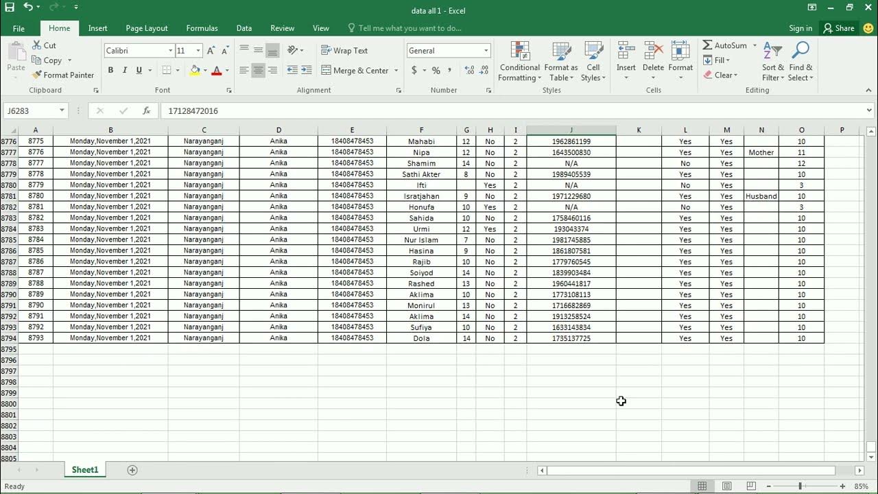 portfolio sample data entry works 1 - YouTube