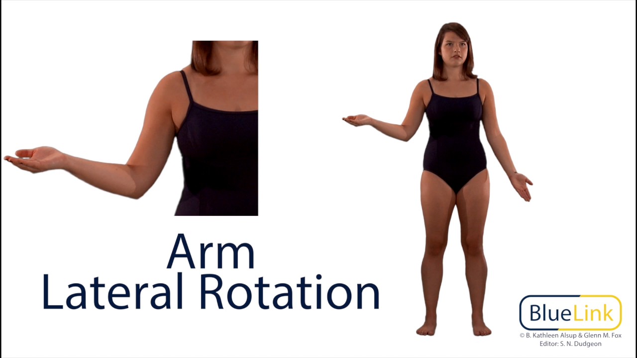 shoulder medial rotation