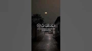 ما تيسر من سورة مريم | القارئ الشيخ وديع اليمني