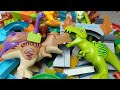 Satisfying Building Blocks ASMR Marble Run #486 animals Dinosaurs and other animals Live 3