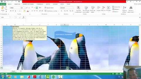 Macros Estructura Condicional