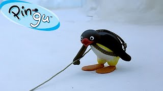 Exploring the Outdoors with Pingu  | FisherPrice | Cartoons For Kids