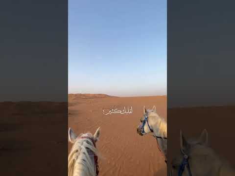 يا بعد من قام وقعد راشد الماجد