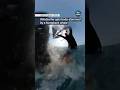 Windsurfer body-slammed by whale #itvnews #news #australia #windsurfing #whales