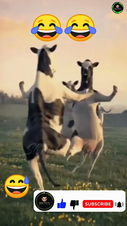 Patli Kamariya Funny Cow 🐄 Dance | | #shorts