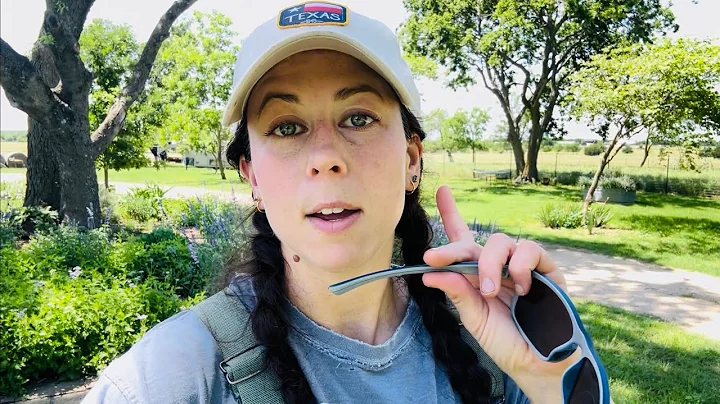 5 Bulletproof Plants for Texas Gardens ☀️🌧️❄️