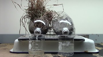 Runoff Model - Grass and Concrete