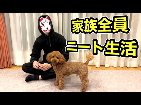 ニートに飼われたトイプードルの生活【ニートルーティン】