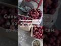 Сильнейшая ложь та в которой человек хочет поверить сам #успех #любовь #вдохновение #жизнь #цитаты