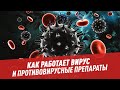 Вирус: как попадает в клетку человека и как работает противовирусный препарат — Микромир