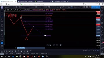 Harmonic Cypher - key to successful trading