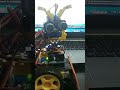 Bot Babuino #arduino
