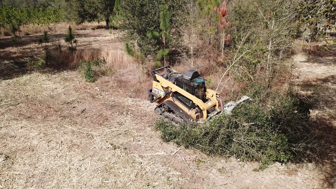 Surgical Land Clearingclearing scrub oaks South plantation2