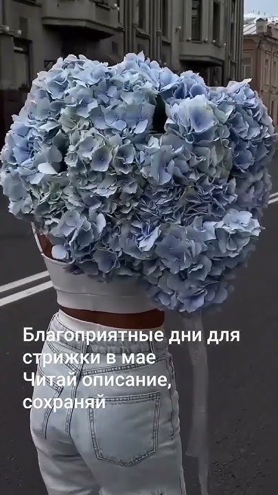 БЛАГОПРИЯТНЫЕ ДНИ ДЛЯ СТРИЖКИ В МАЕ - YouTube