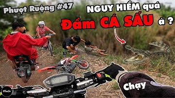 Phượt Ruộng 47 - Team HauLee Vô tình đi ngang Đầm CÁ SẤU ? khi đang khám phá đường Rừng Ven Sông